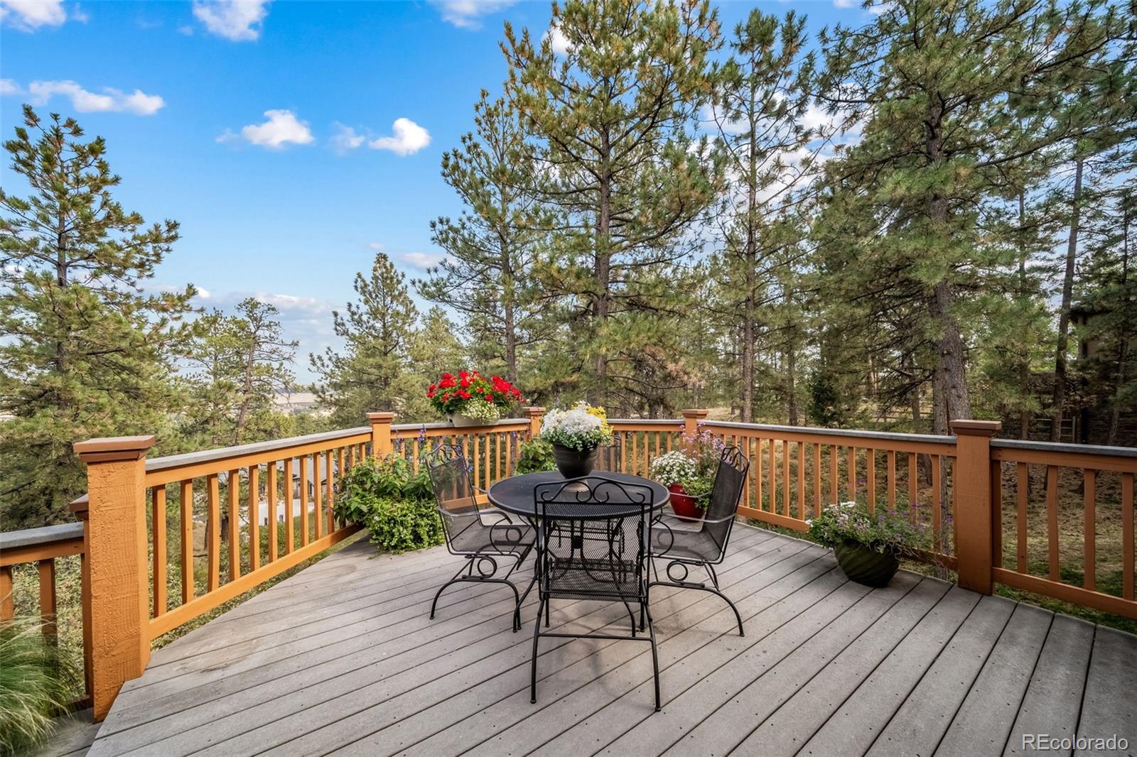 MLS Image #24 for 8174  inca road,larkspur, Colorado