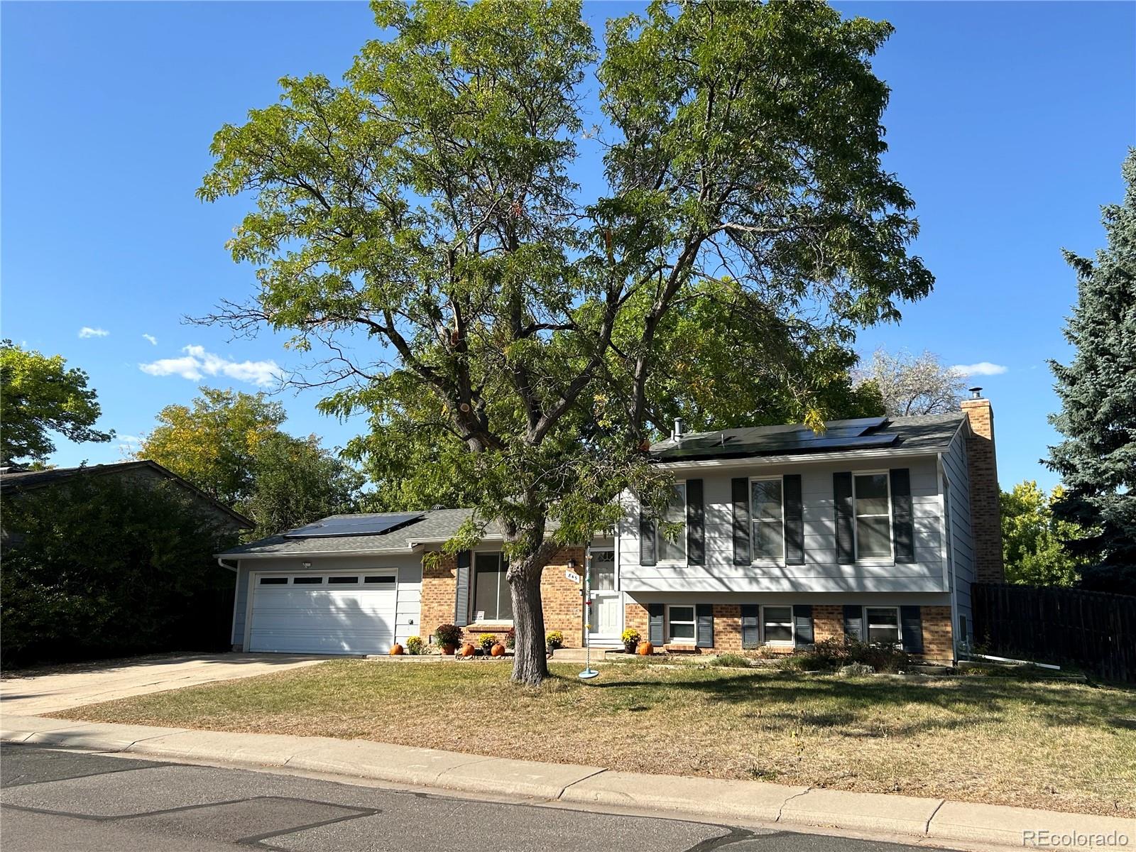 MLS Image #2 for 845 w linden street,louisville, Colorado