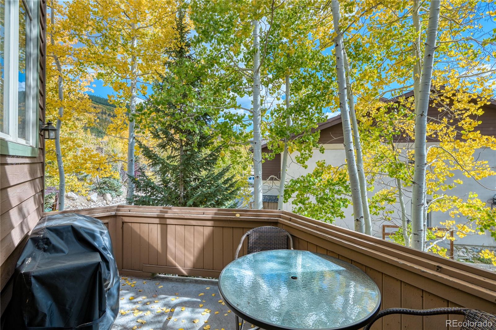 MLS Image #10 for 24  rasor drive,dillon, Colorado