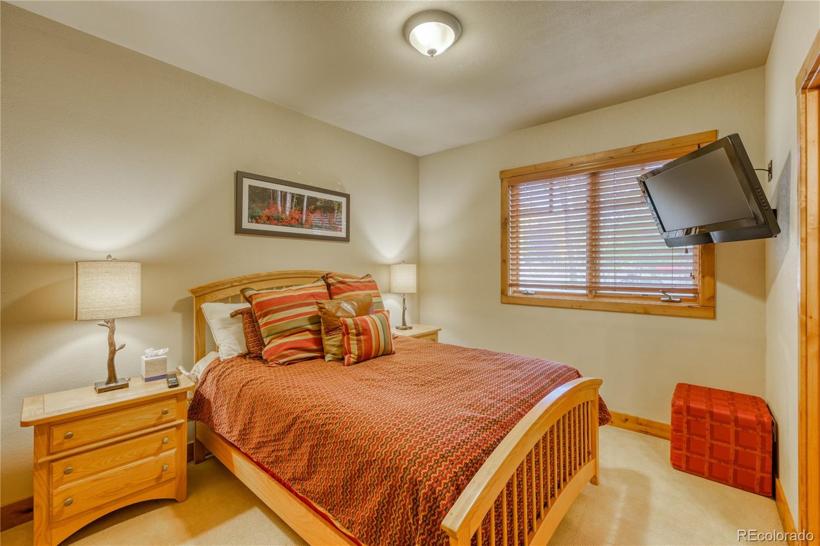 MLS Image #5 for 24  rasor drive,dillon, Colorado