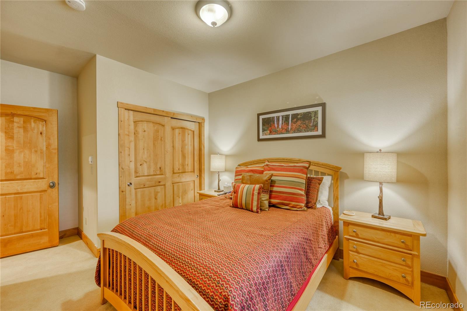 MLS Image #6 for 24  rasor drive,dillon, Colorado