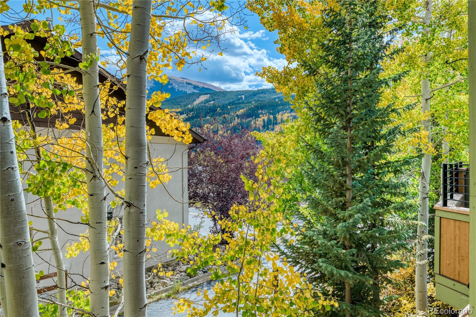 MLS Image #9 for 24  rasor drive,dillon, Colorado