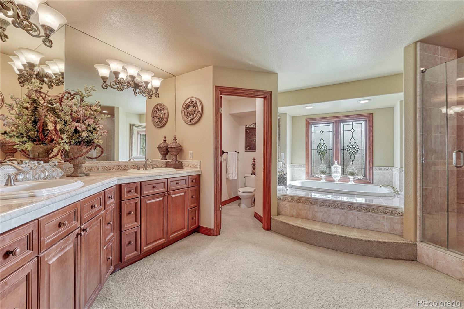 MLS Image #28 for 5189  warbler court,parker, Colorado