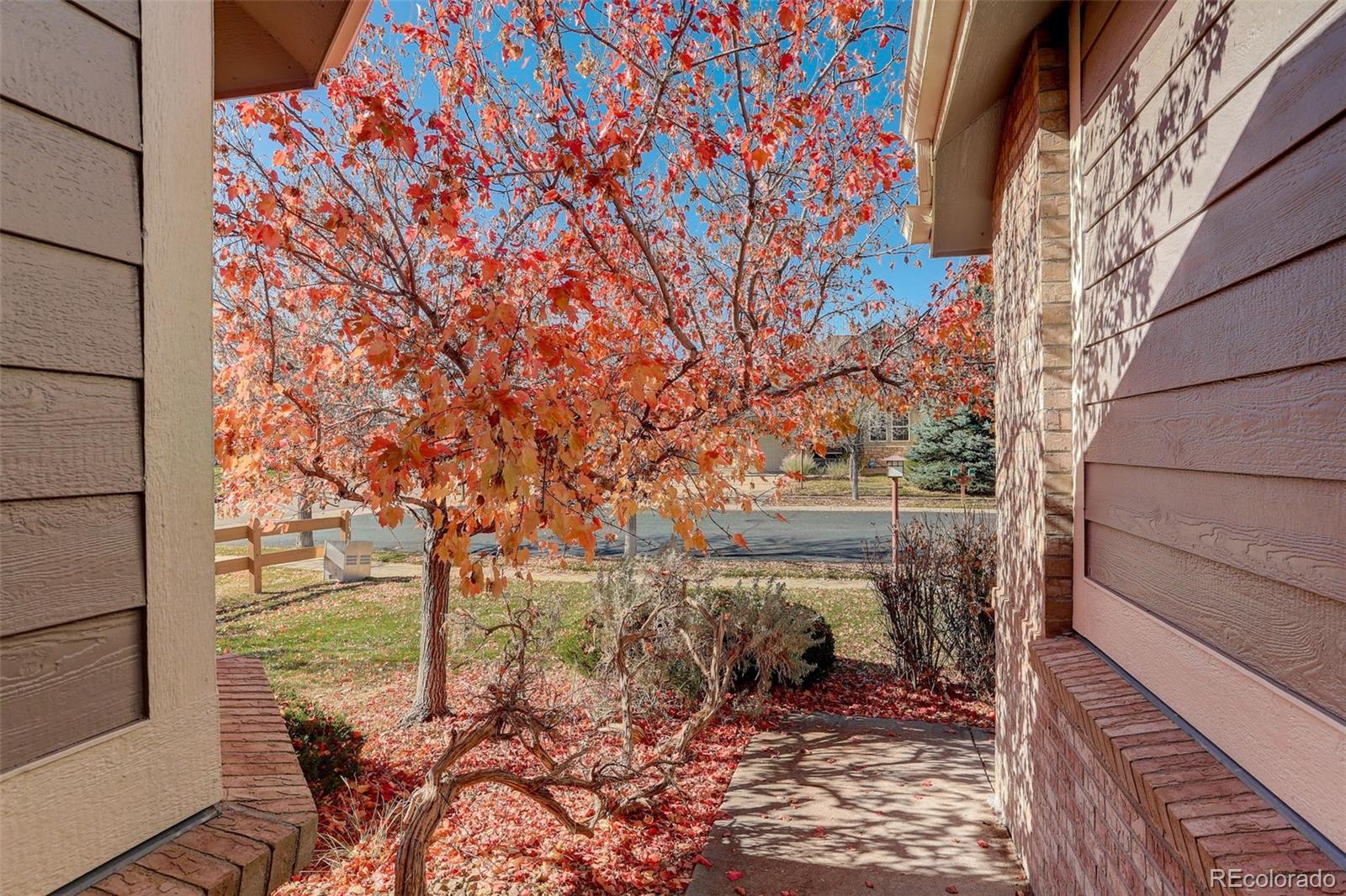 MLS Image #3 for 7898 s zante court,aurora, Colorado