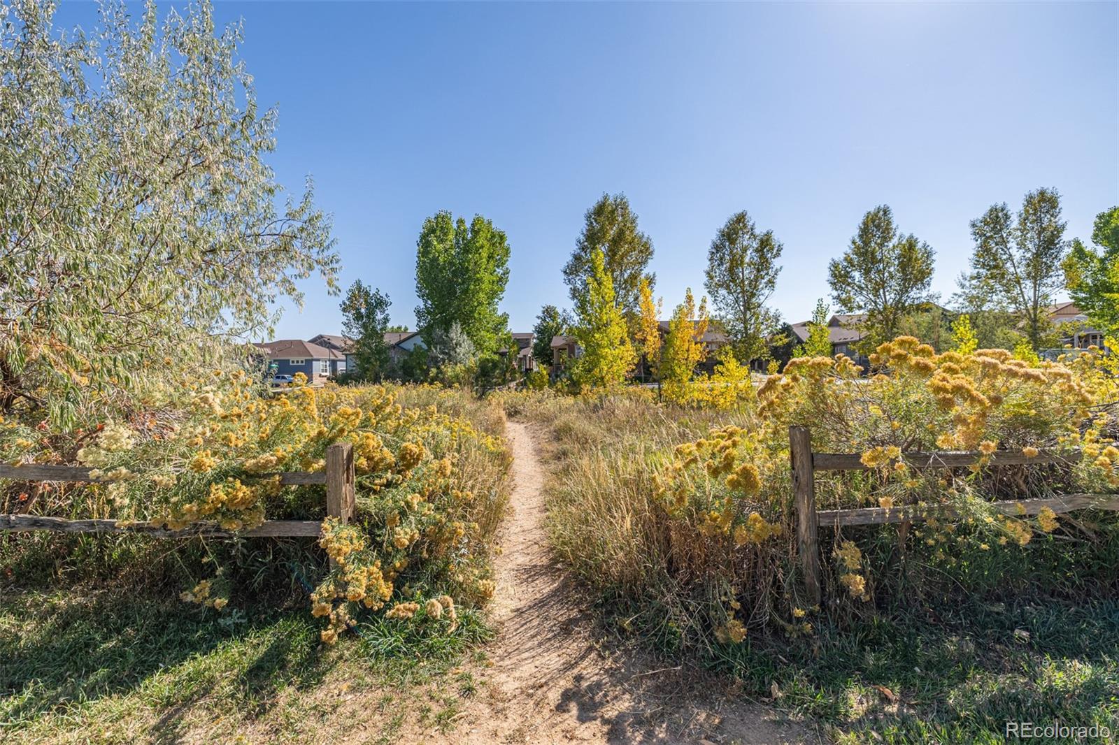 MLS Image #44 for 12118 w dorado place,littleton, Colorado