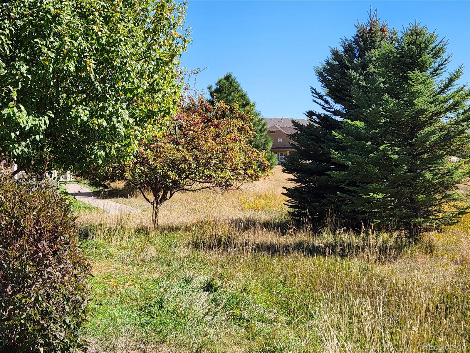 MLS Image #25 for 3747  windriver trail,castle rock, Colorado