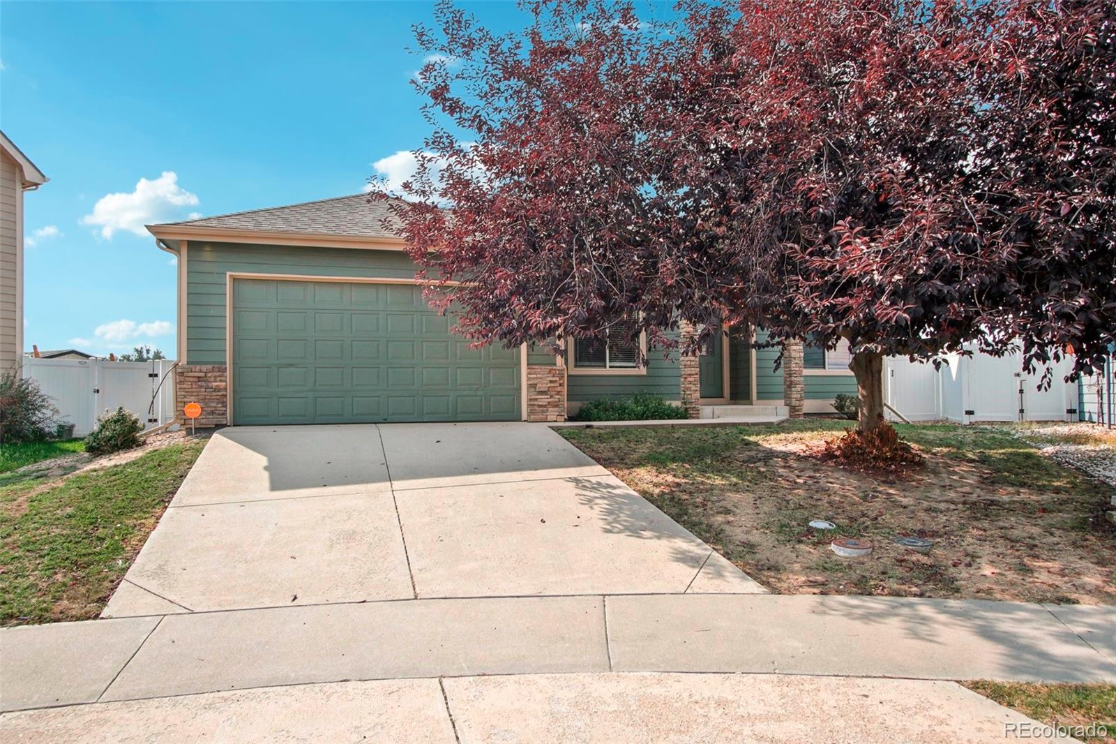 MLS Image #0 for 3419  riesling court,greeley, Colorado