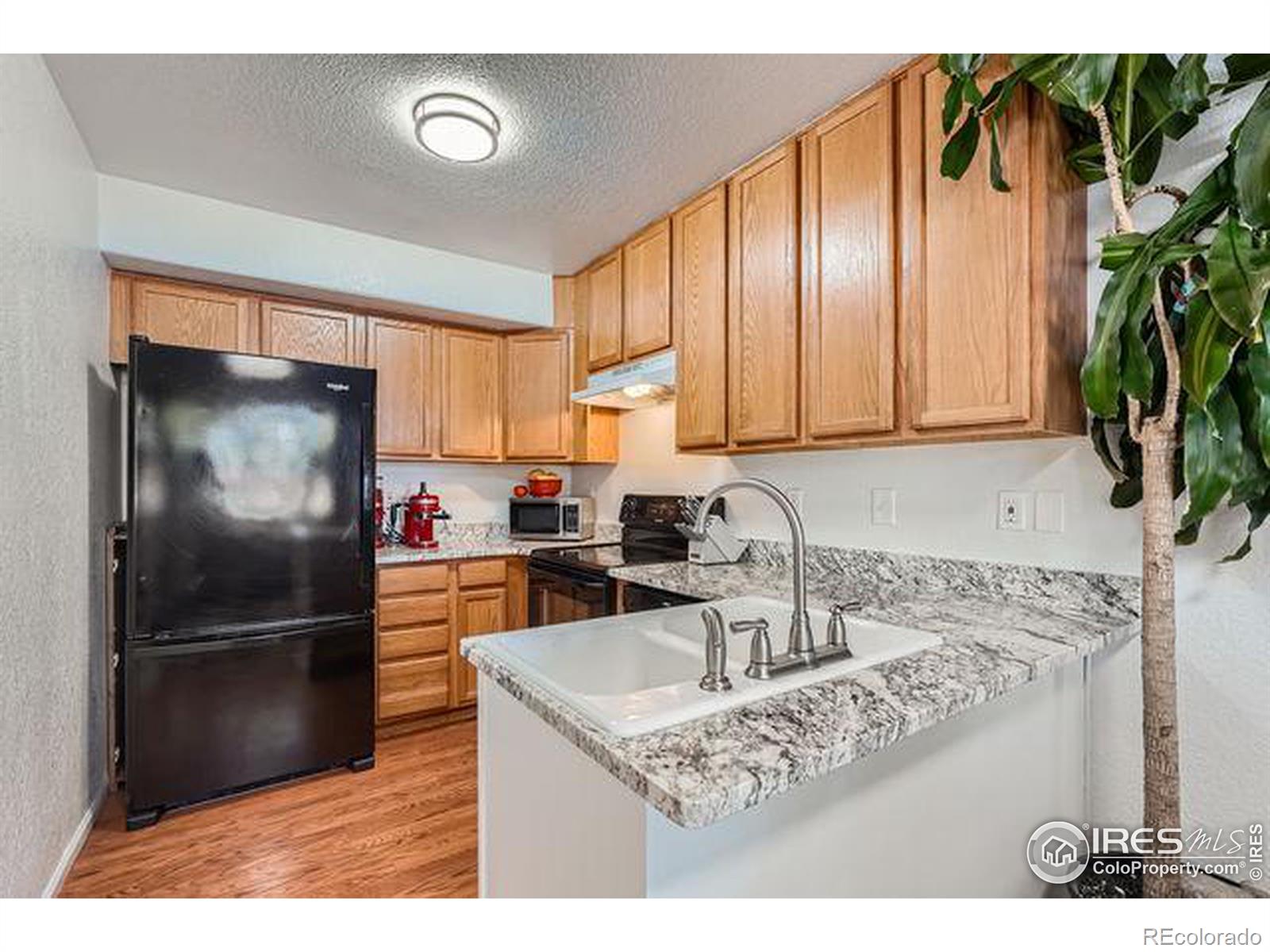 MLS Image #14 for 51  21st avenue,longmont, Colorado