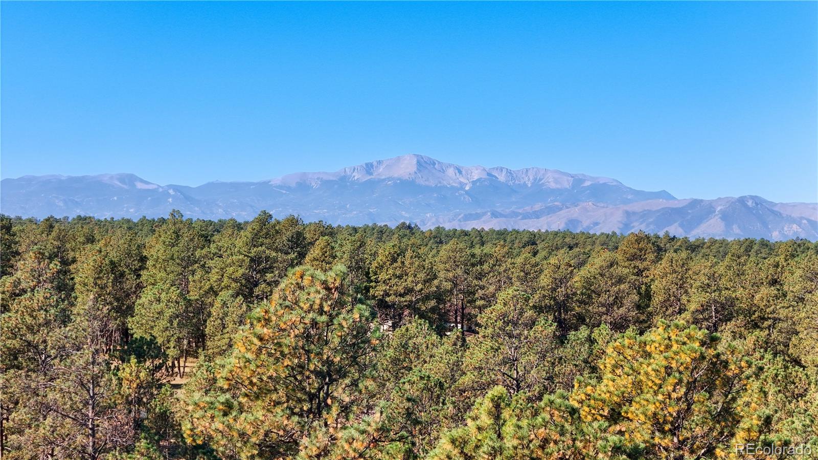 MLS Image #2 for 13910 e pine glen drive,colorado springs, Colorado