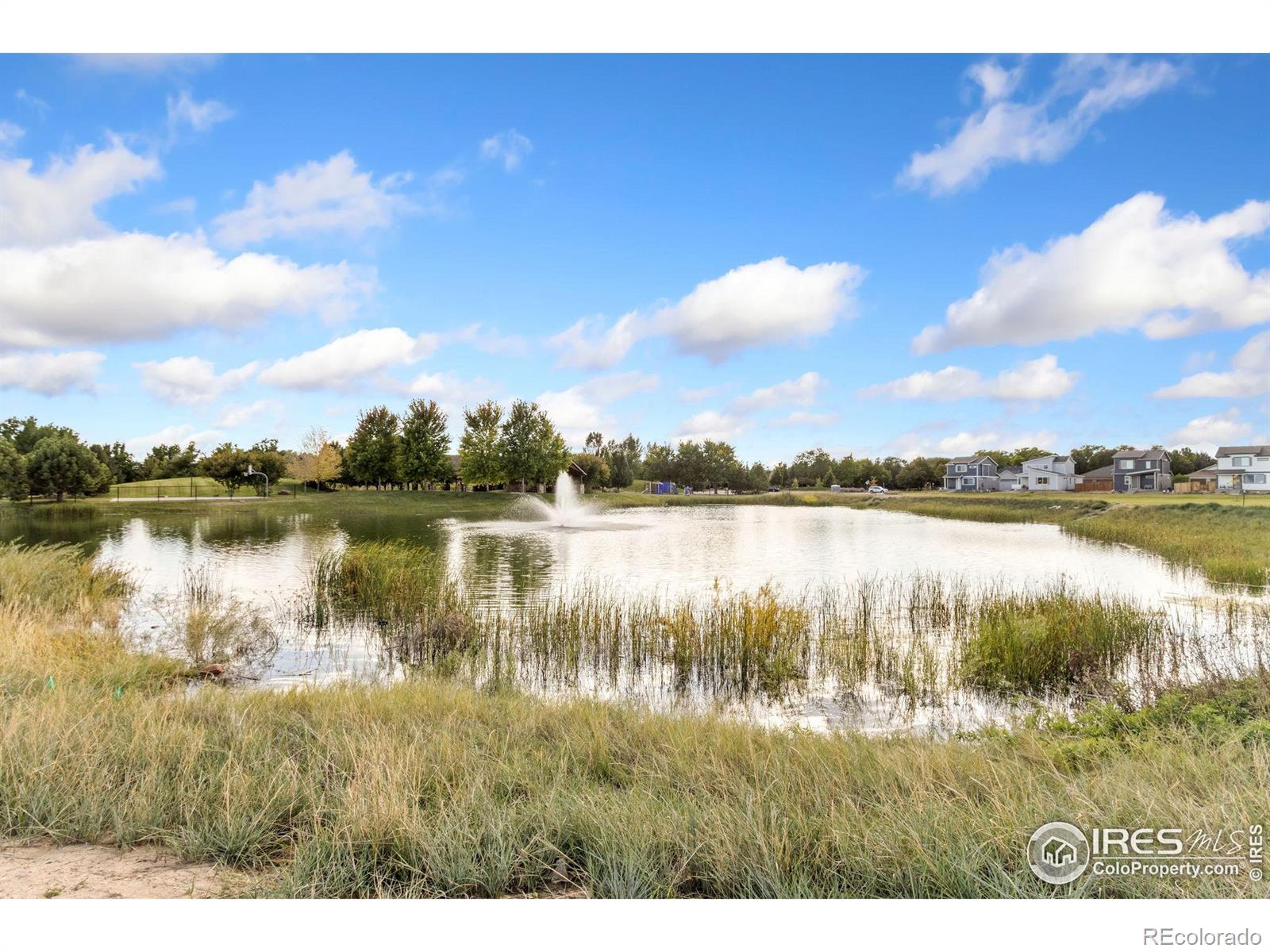 MLS Image #15 for 238  mayfly lane,berthoud, Colorado