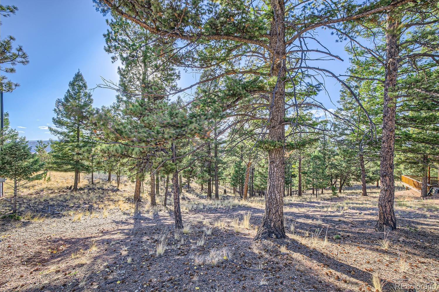 MLS Image #20 for 25  amanda circle,florissant, Colorado