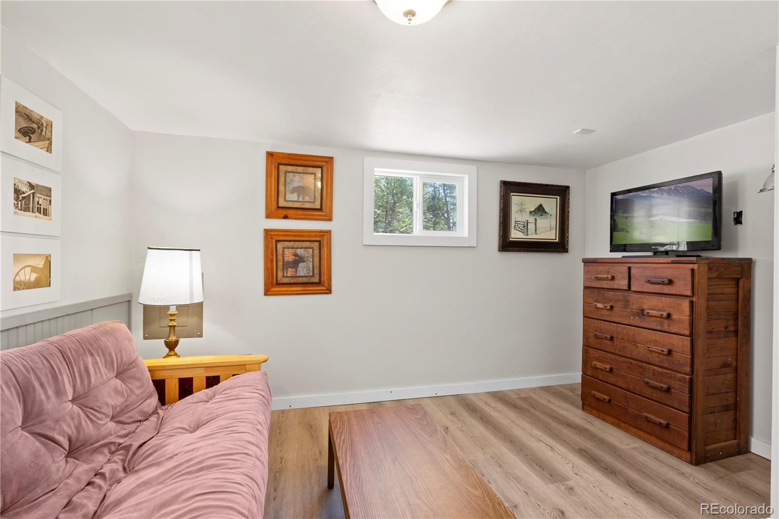 MLS Image #11 for 455  golden bell lane,divide, Colorado