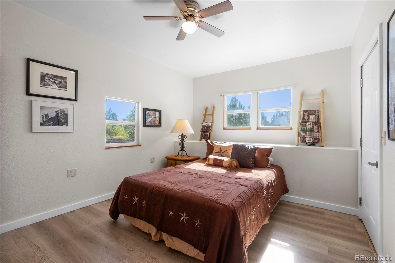 MLS Image #17 for 455  golden bell lane,divide, Colorado