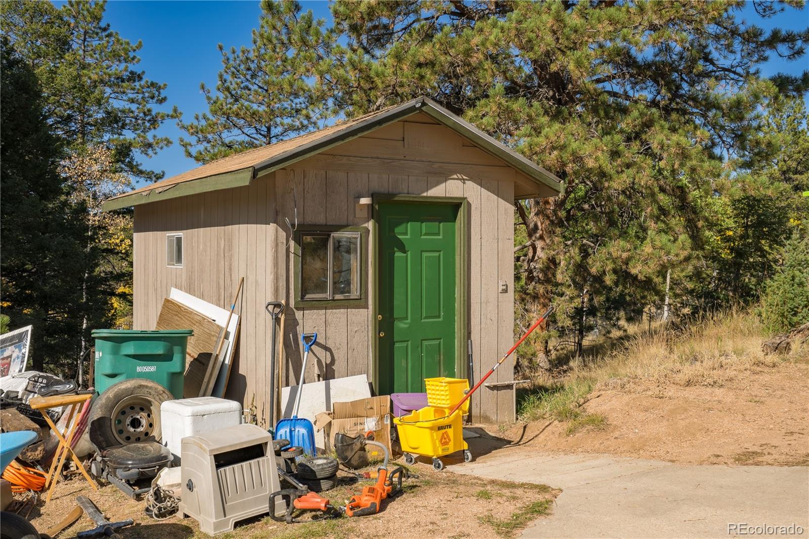 MLS Image #26 for 455  golden bell lane,divide, Colorado