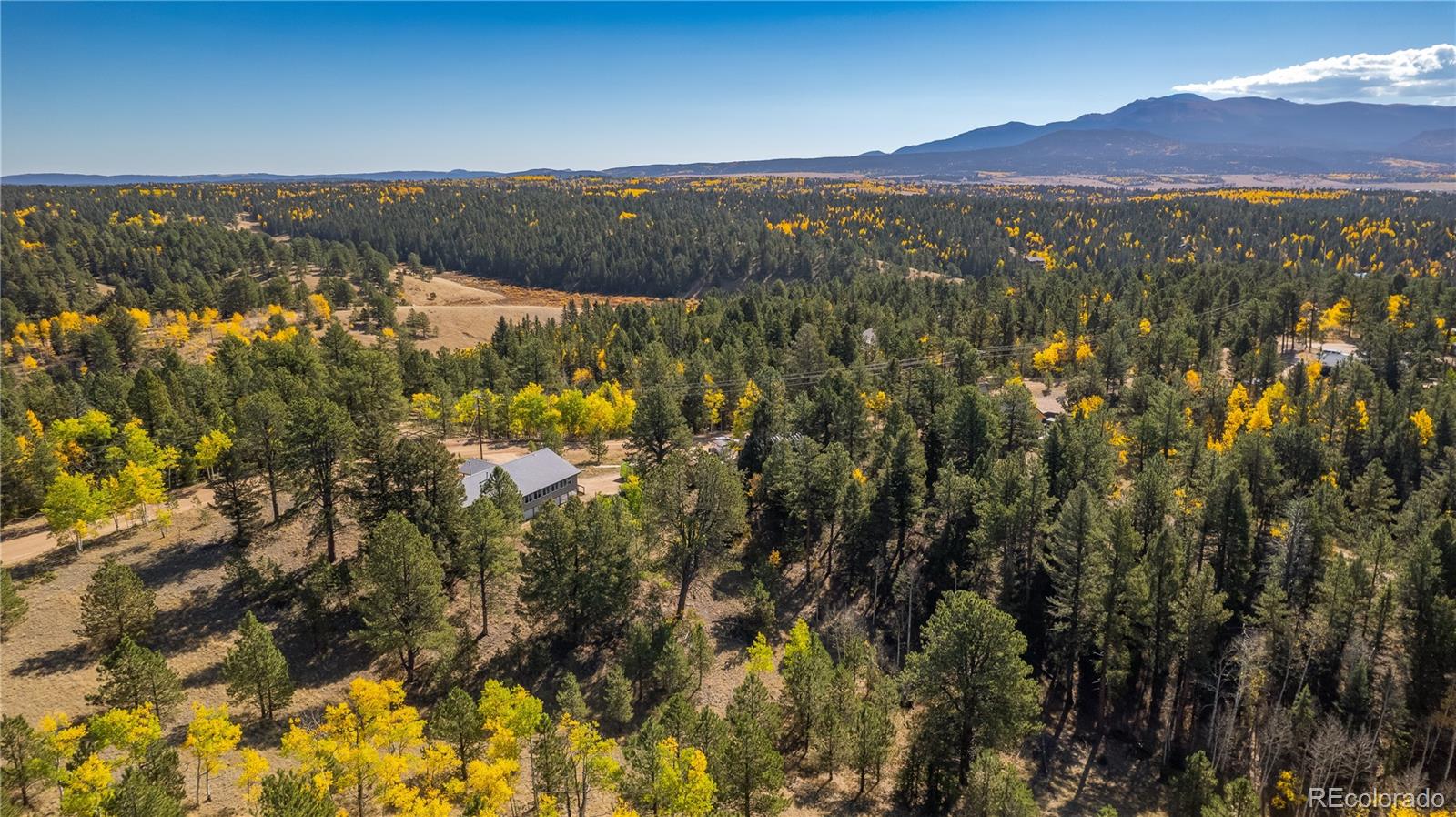 MLS Image #29 for 455  golden bell lane,divide, Colorado