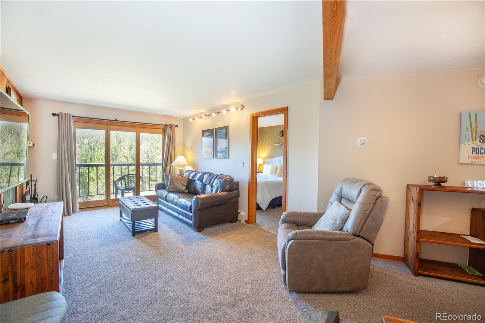 MLS Image #13 for 9490  ryan gulch road,silverthorne, Colorado