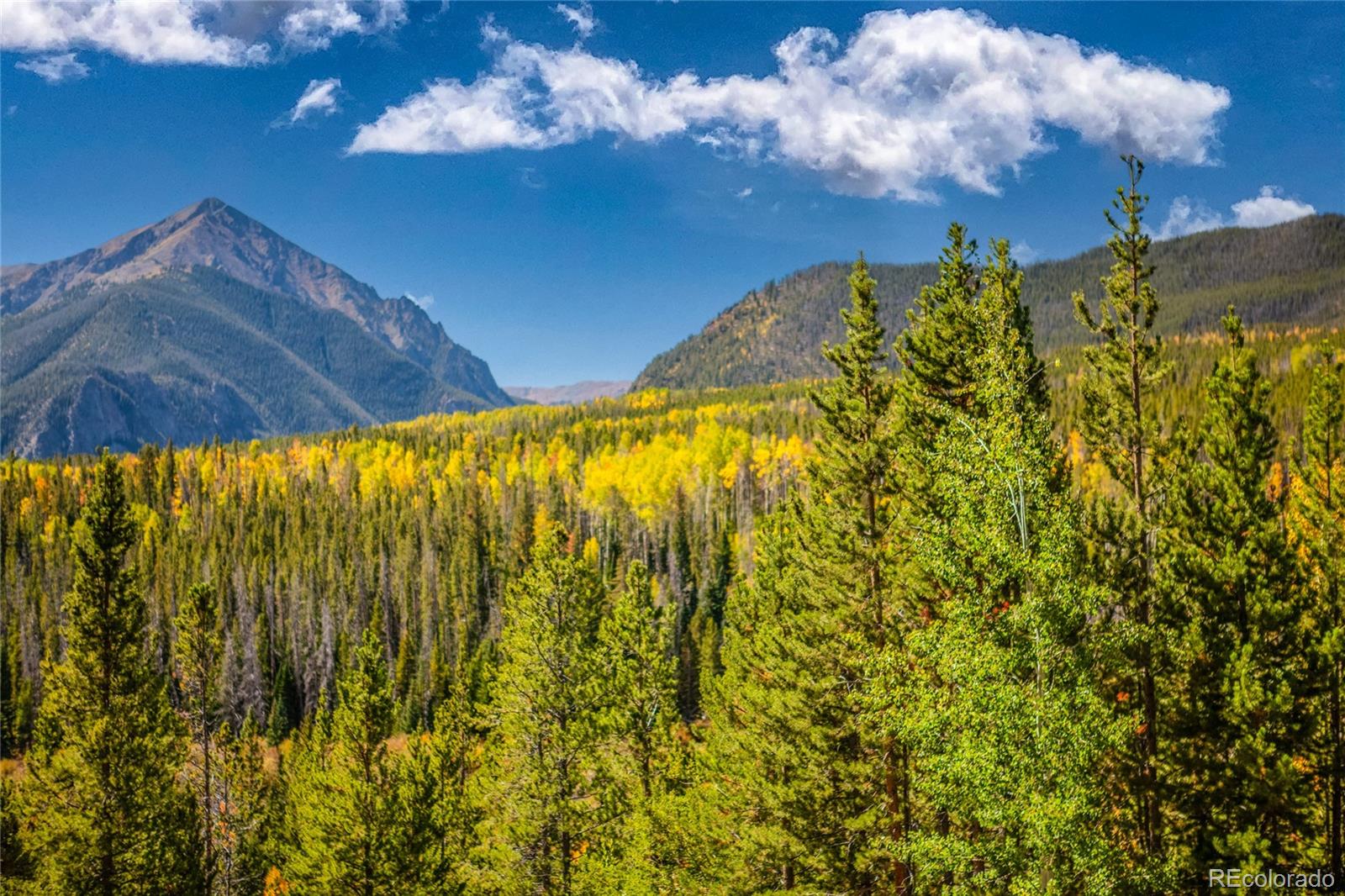 MLS Image #43 for 9490  ryan gulch road,silverthorne, Colorado