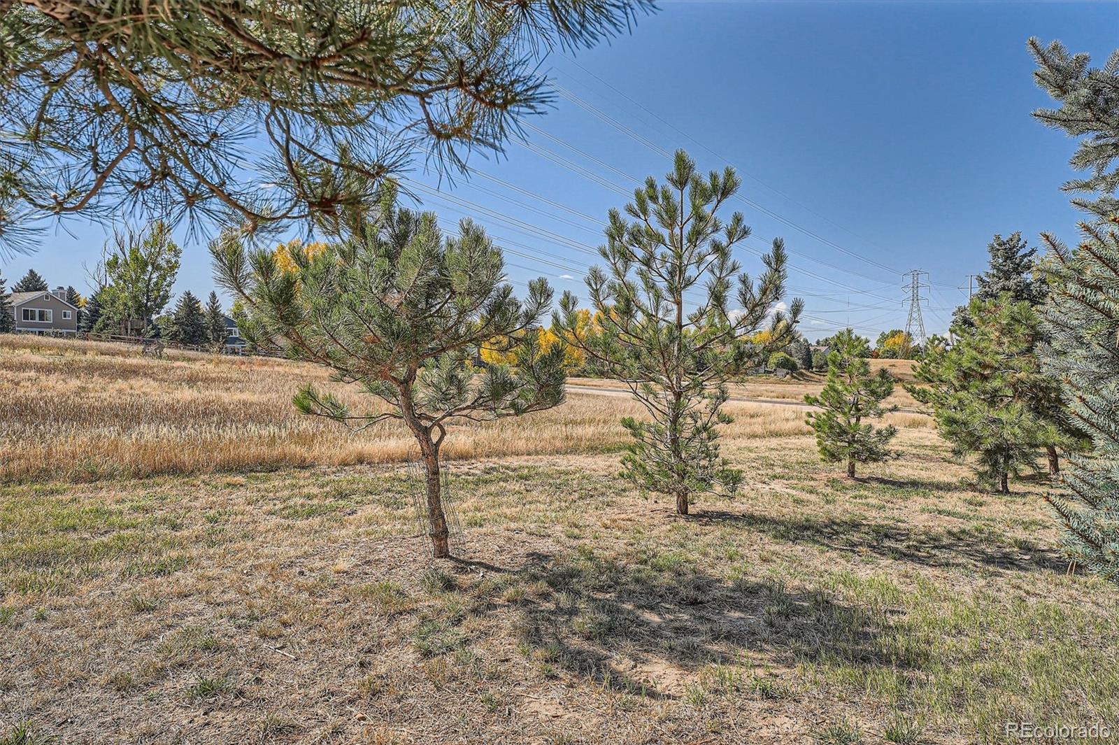 MLS Image #21 for 20816 e shefield place,parker, Colorado