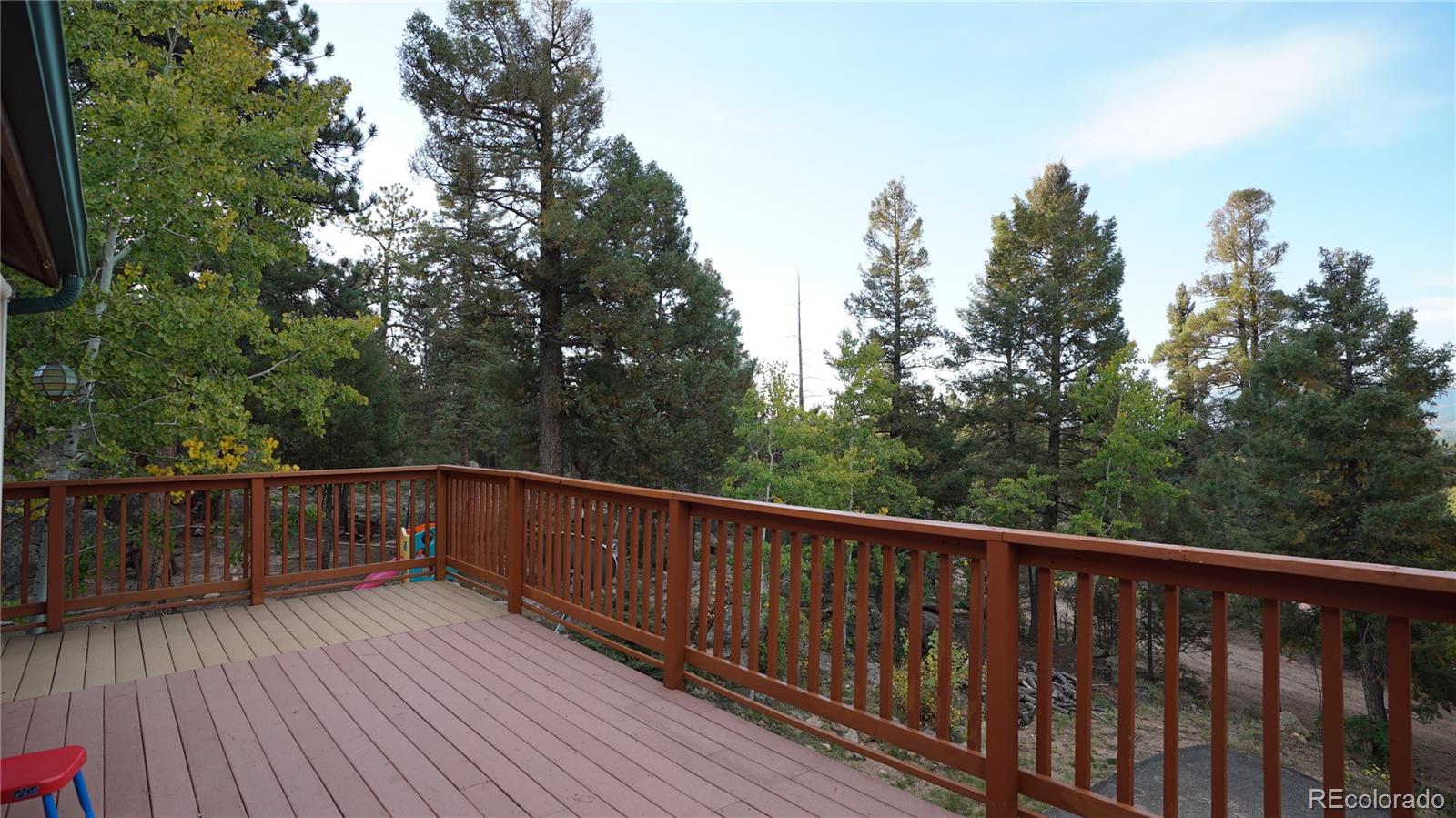 MLS Image #17 for 12252  hosman court,conifer, Colorado