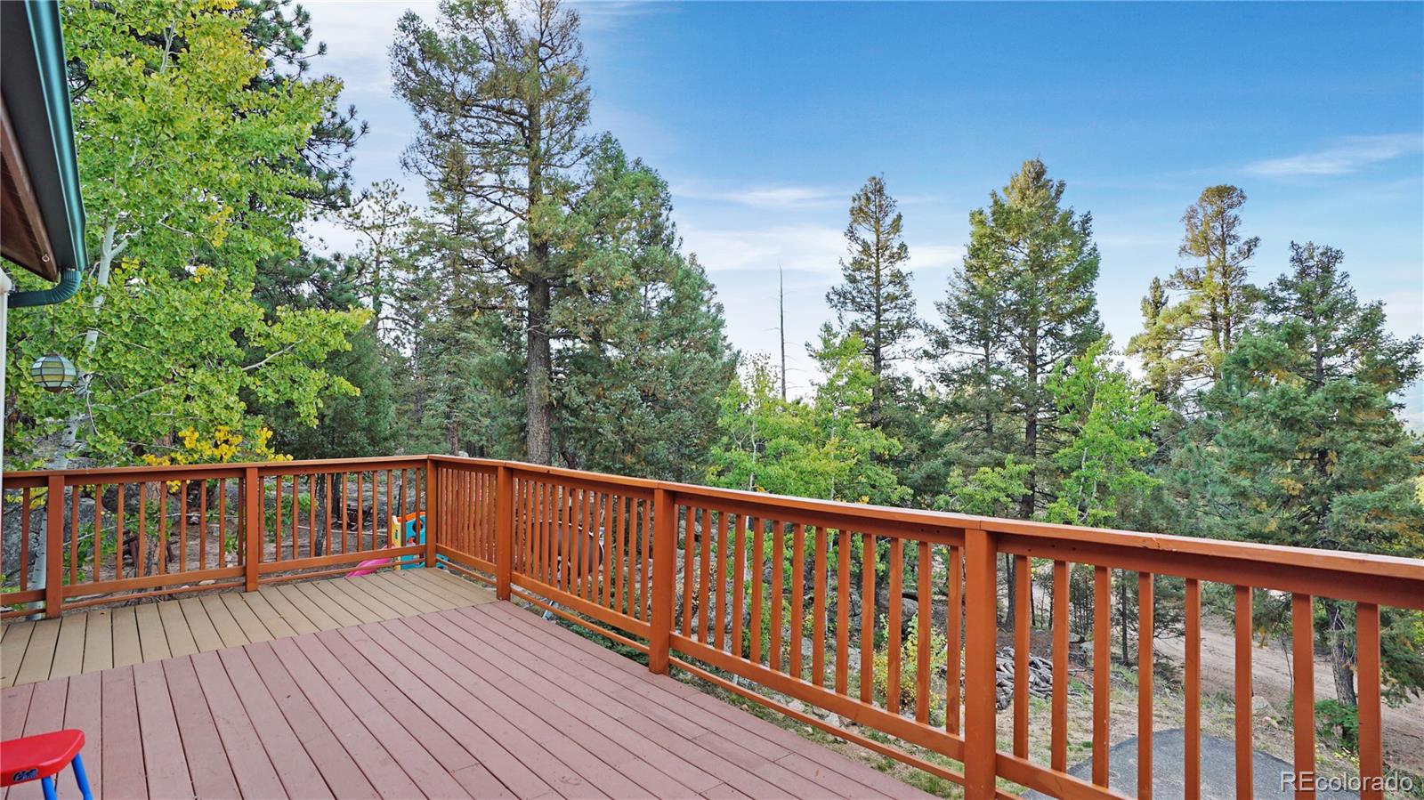 MLS Image #18 for 12252  hosman court,conifer, Colorado