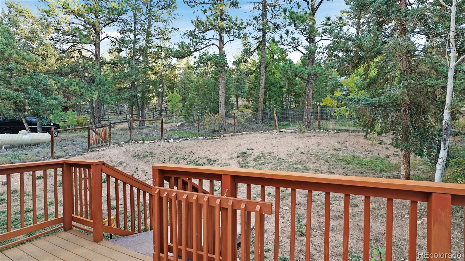 MLS Image #21 for 12252  hosman court,conifer, Colorado