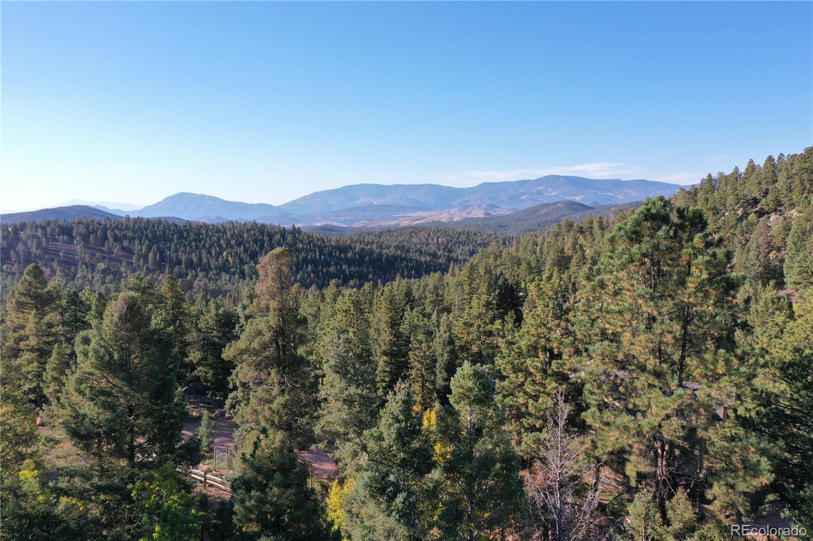 MLS Image #28 for 12252  hosman court,conifer, Colorado