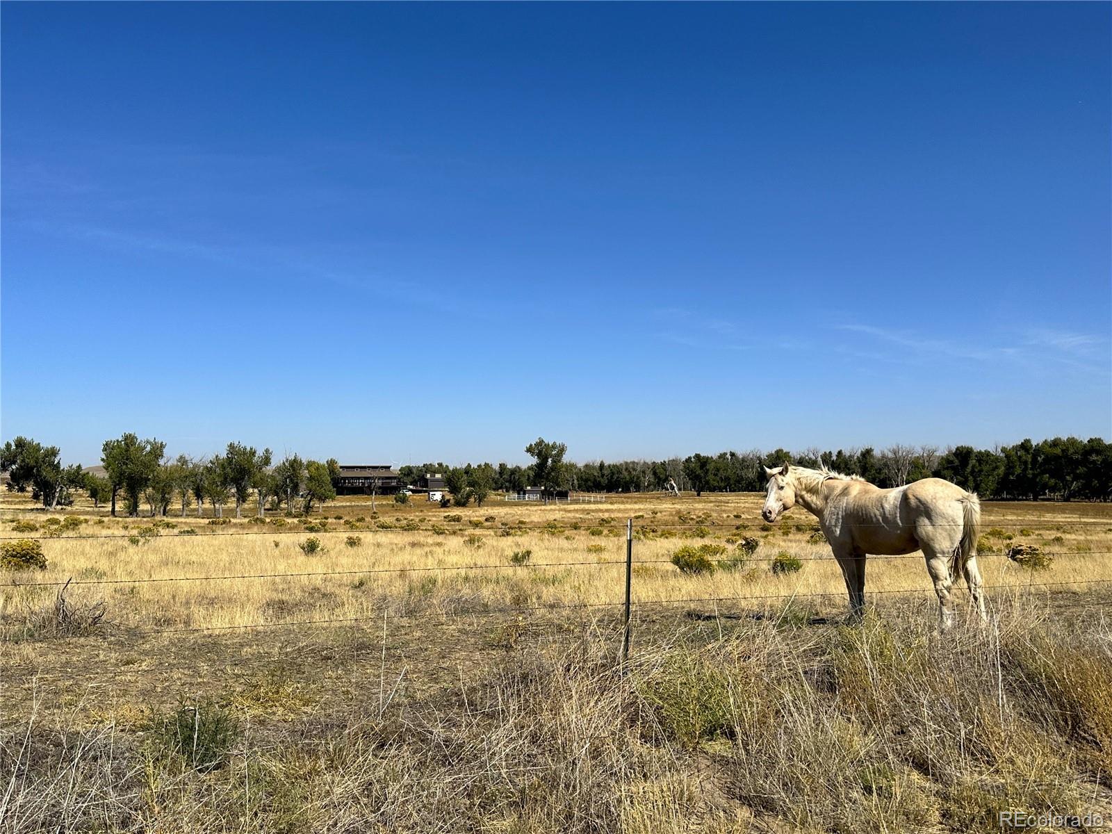 MLS Image #5 for 29100  county road 183 ,limon, Colorado