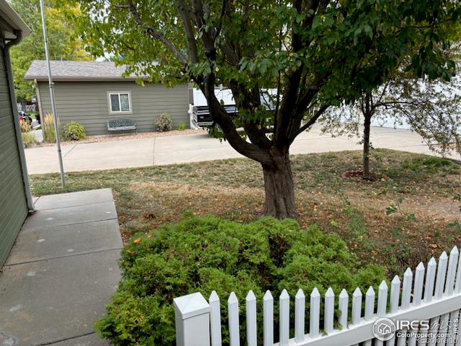 MLS Image #3 for 7840  sunflower green,frederick, Colorado