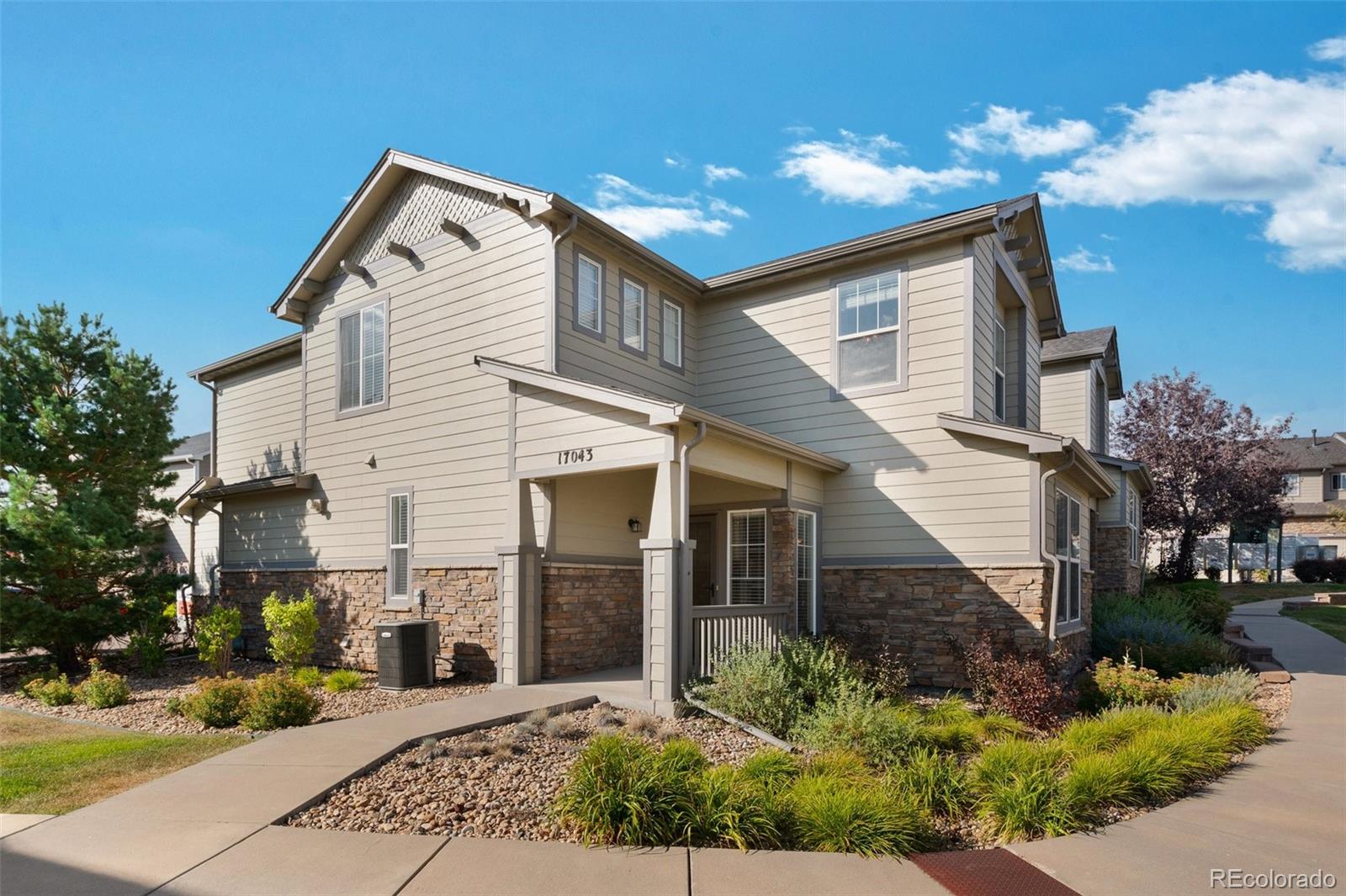 MLS Image #26 for 17043  blue mist grove,monument, Colorado