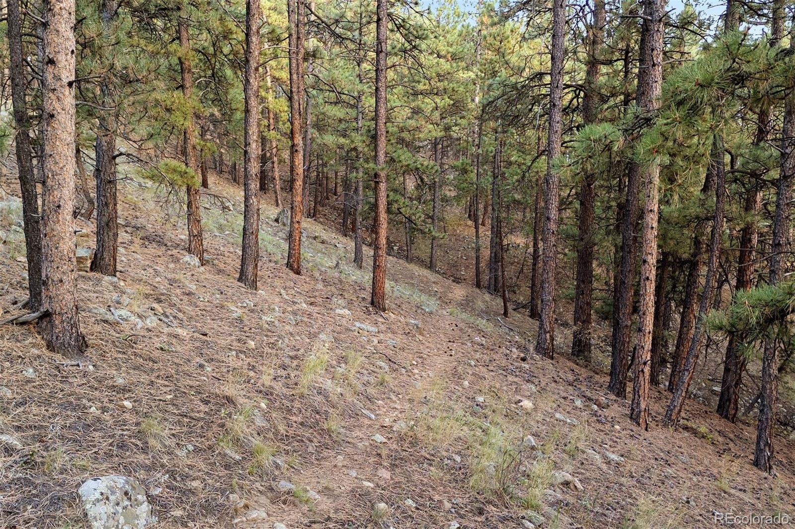 MLS Image #42 for 2040  kerr gulch road,evergreen, Colorado