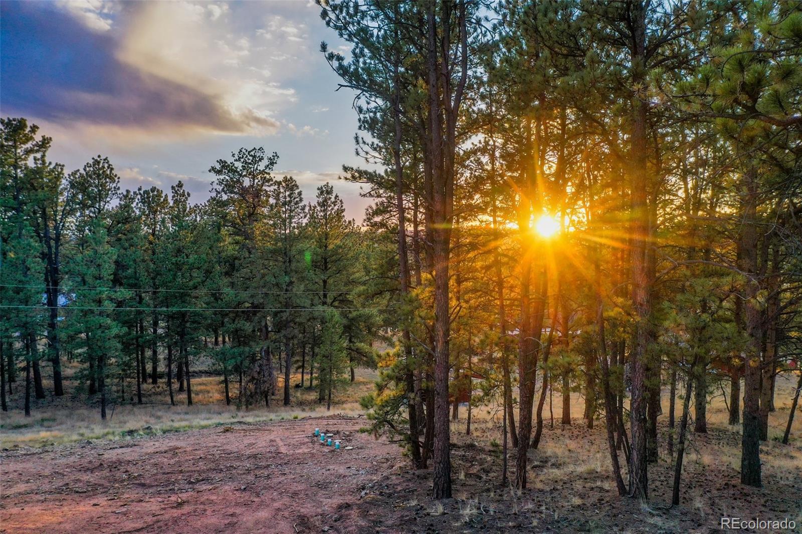 MLS Image #45 for 207  monument lane,florissant, Colorado