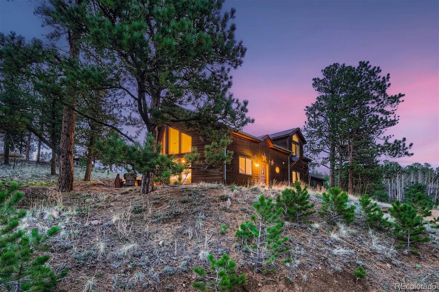 MLS Image #0 for 311  nellie road,bailey, Colorado