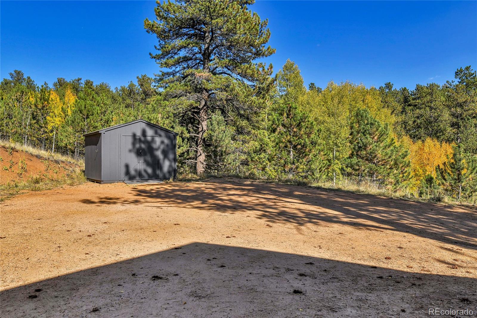 MLS Image #34 for 311  nellie road,bailey, Colorado