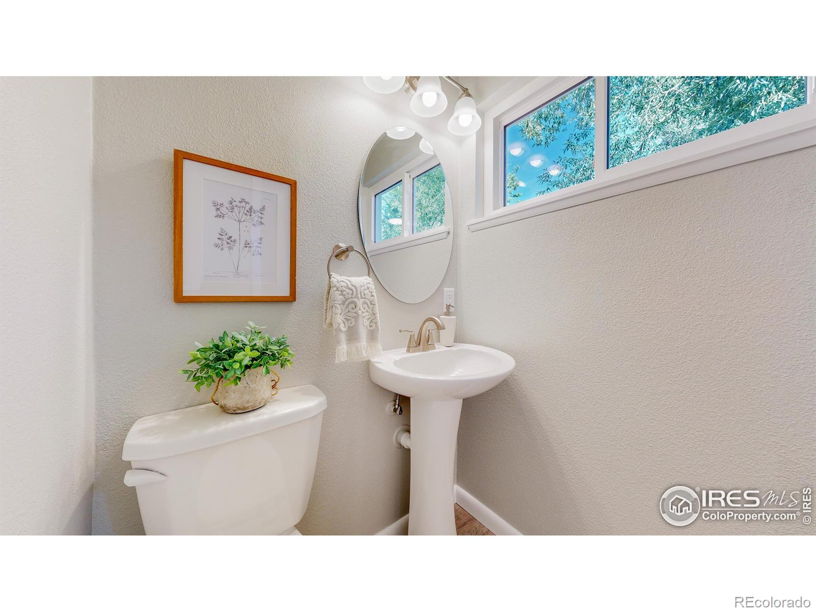 MLS Image #9 for 206  columbine court,fort collins, Colorado