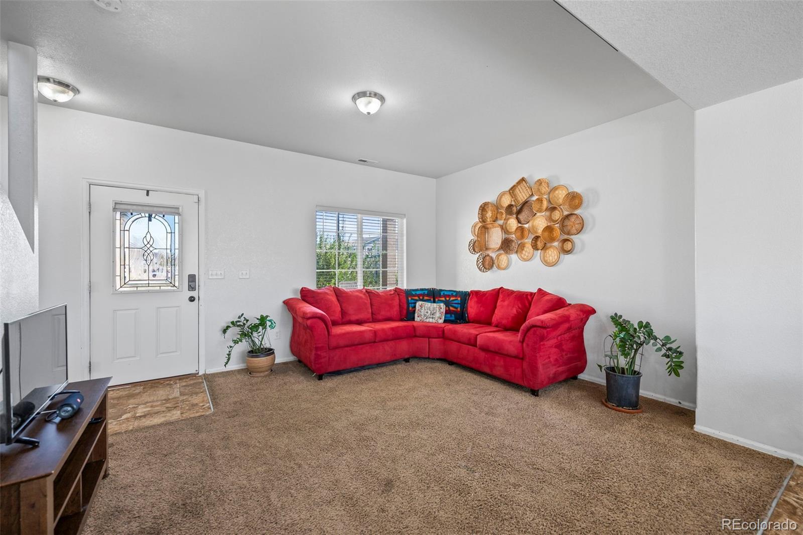 MLS Image #1 for 3524  wild daisy drive,colorado springs, Colorado