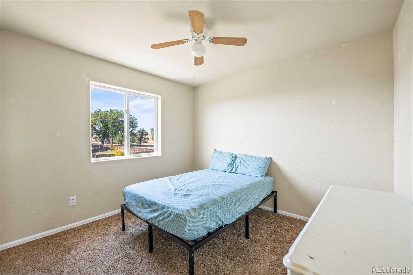 MLS Image #12 for 3524  wild daisy drive,colorado springs, Colorado