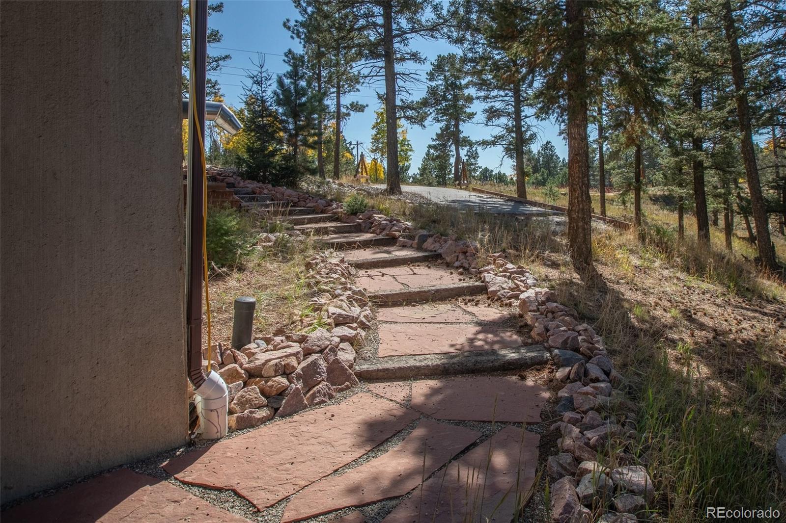 MLS Image #38 for 1569  county road 512 ,divide, Colorado