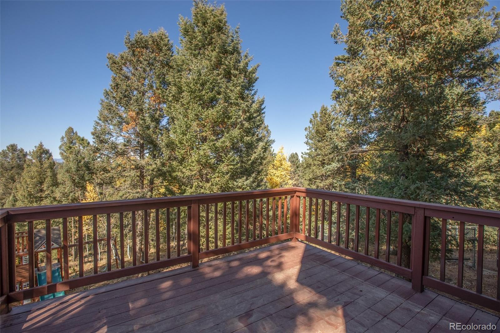 MLS Image #39 for 1569  county road 512 ,divide, Colorado