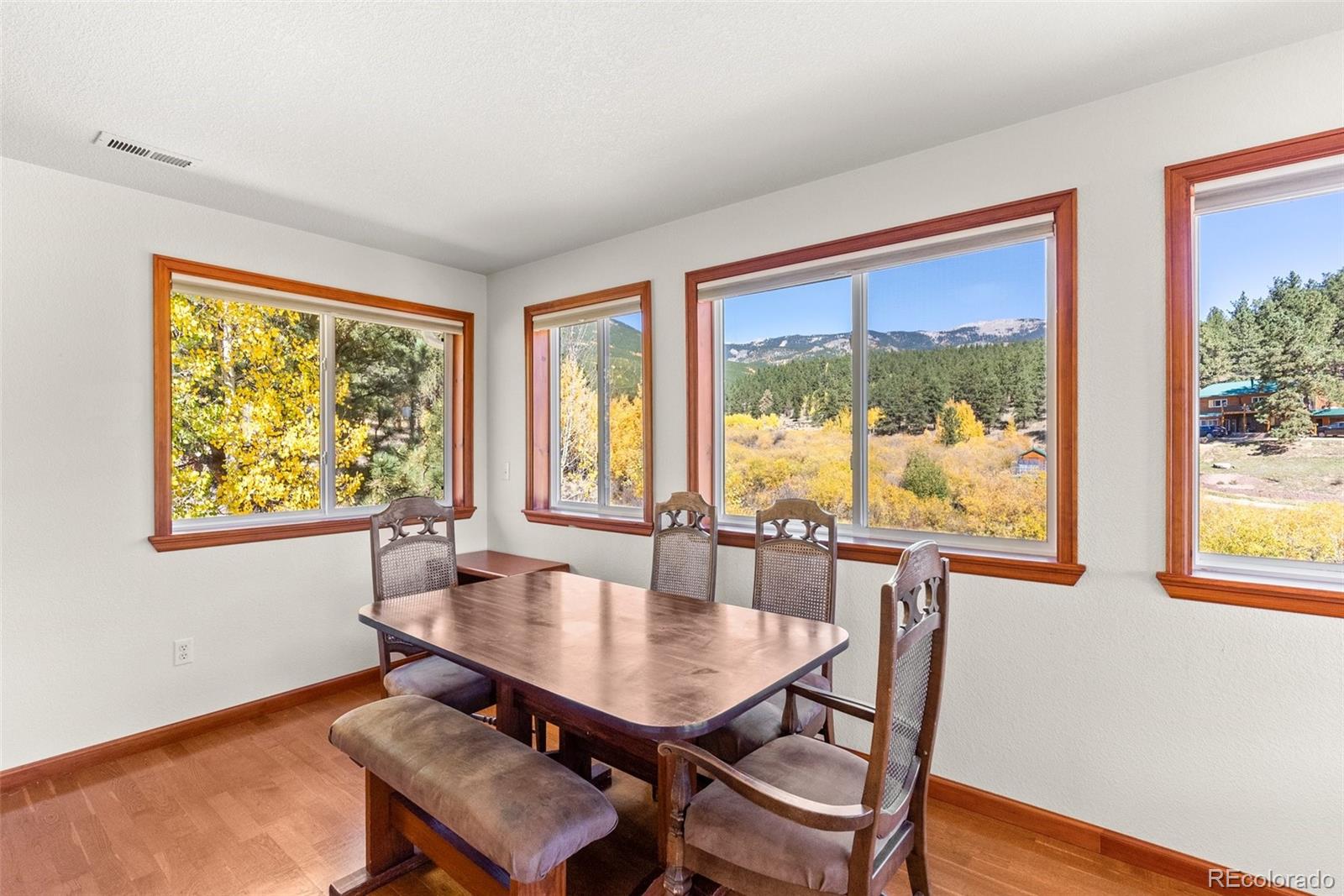 MLS Image #10 for 257  elk creek drive,bailey, Colorado