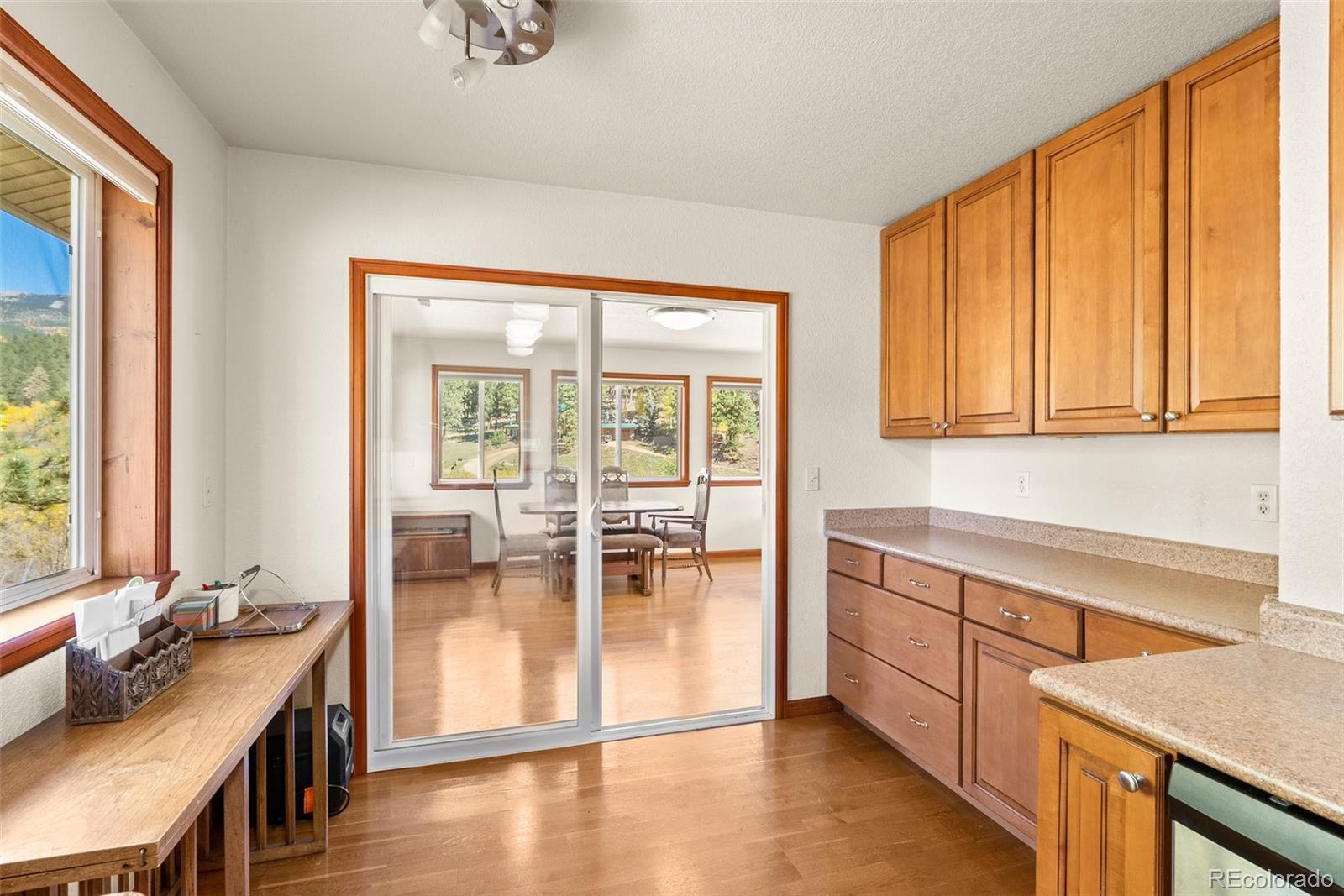 MLS Image #14 for 257  elk creek drive,bailey, Colorado