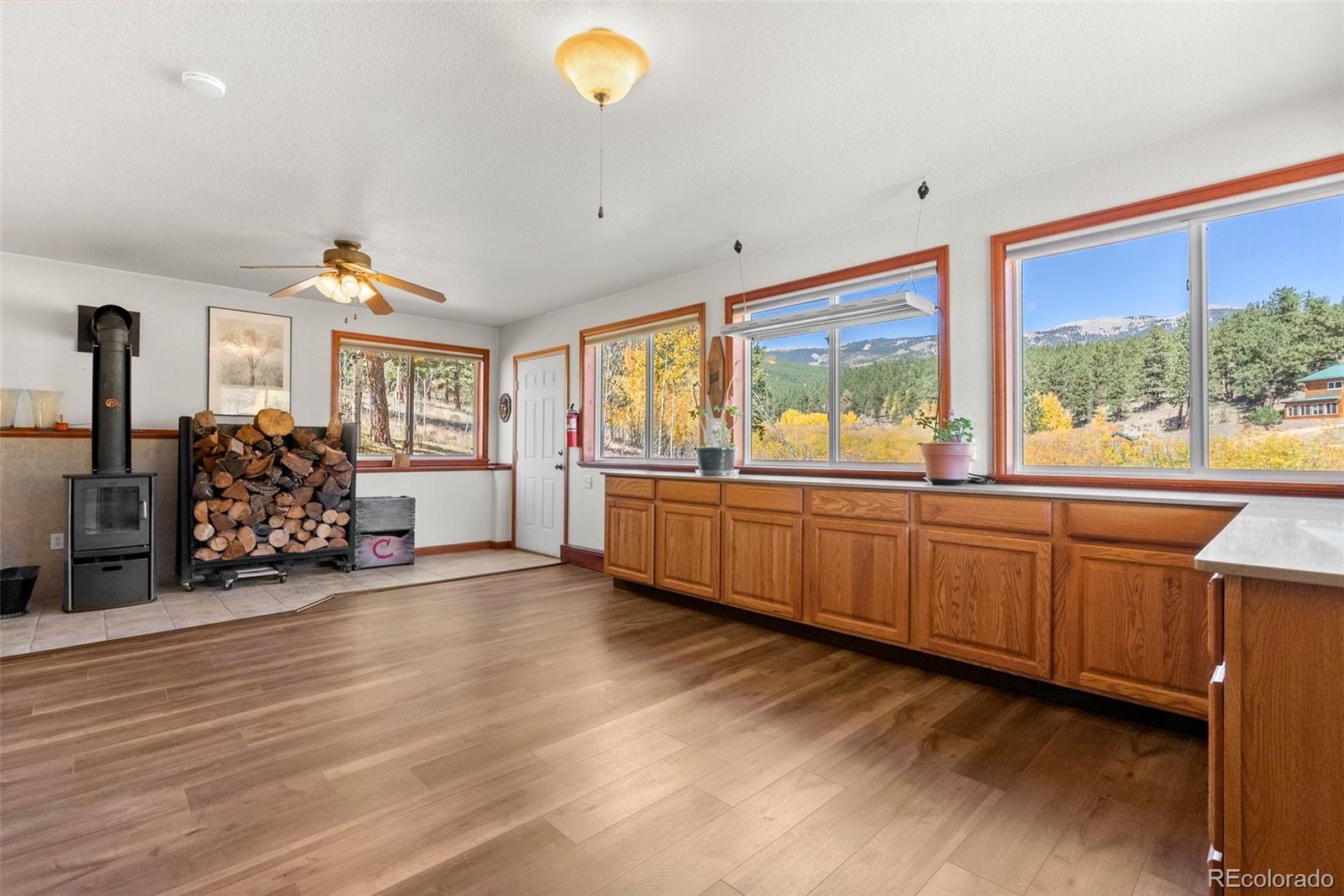 MLS Image #24 for 257  elk creek drive,bailey, Colorado