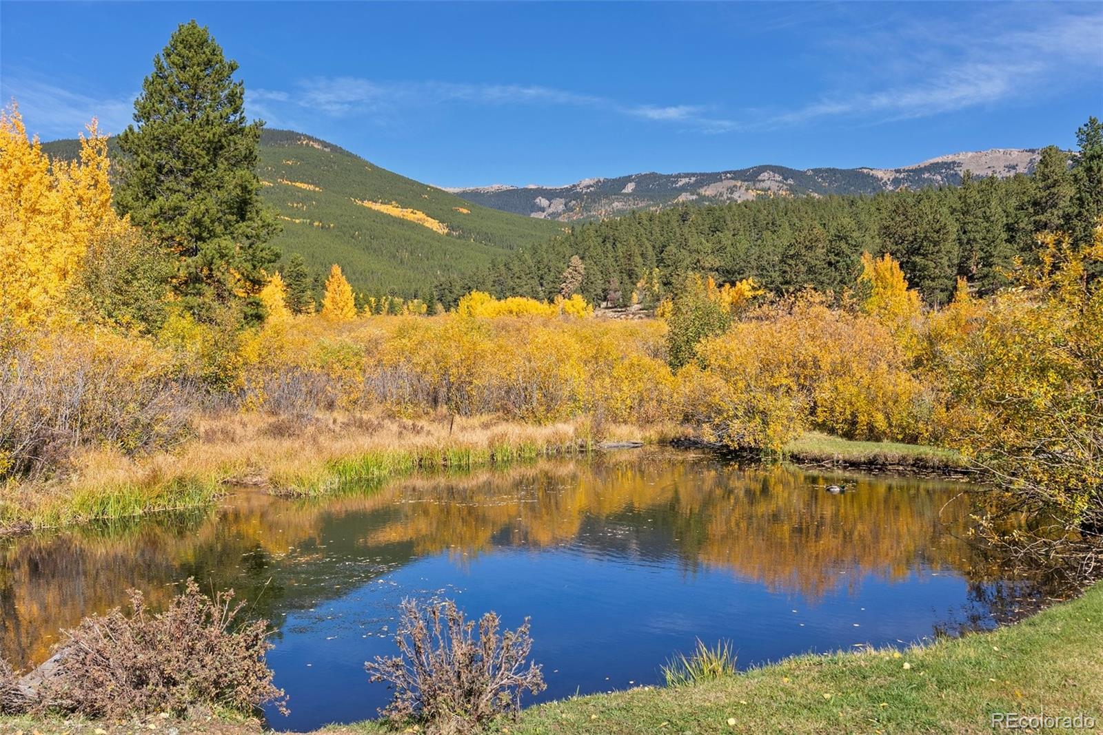 MLS Image #32 for 257  elk creek drive,bailey, Colorado