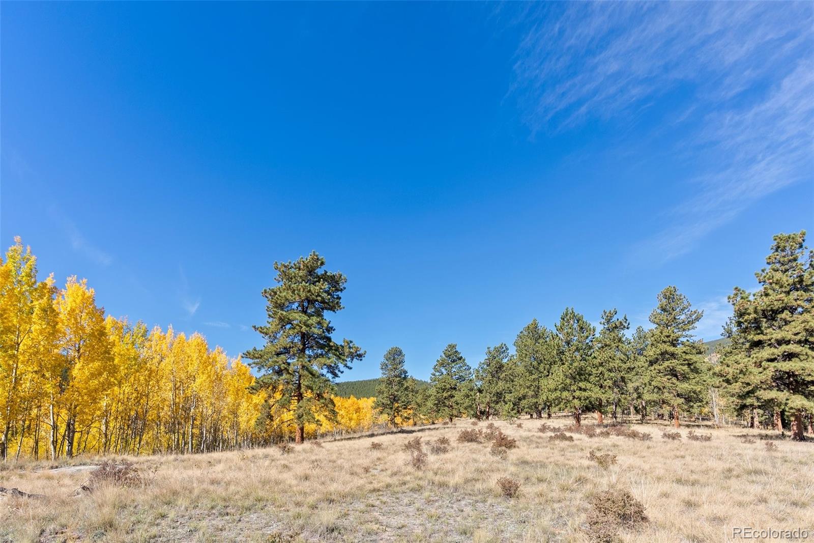 MLS Image #38 for 257  elk creek drive,bailey, Colorado