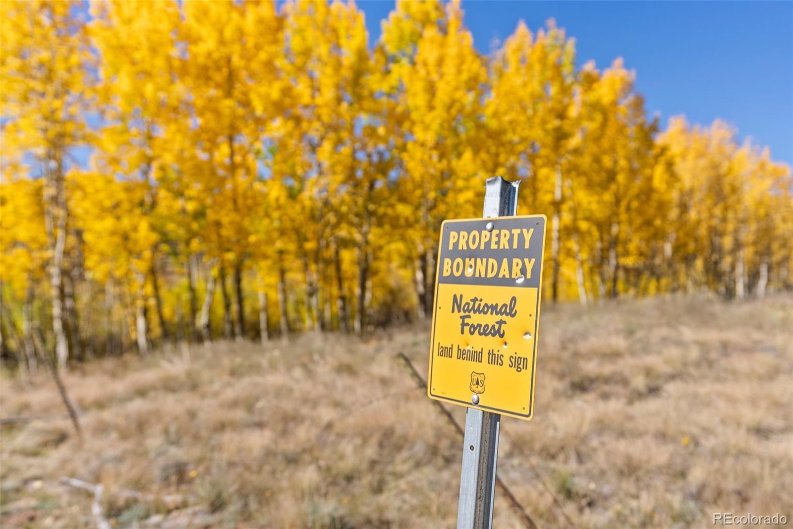 MLS Image #39 for 257  elk creek drive,bailey, Colorado