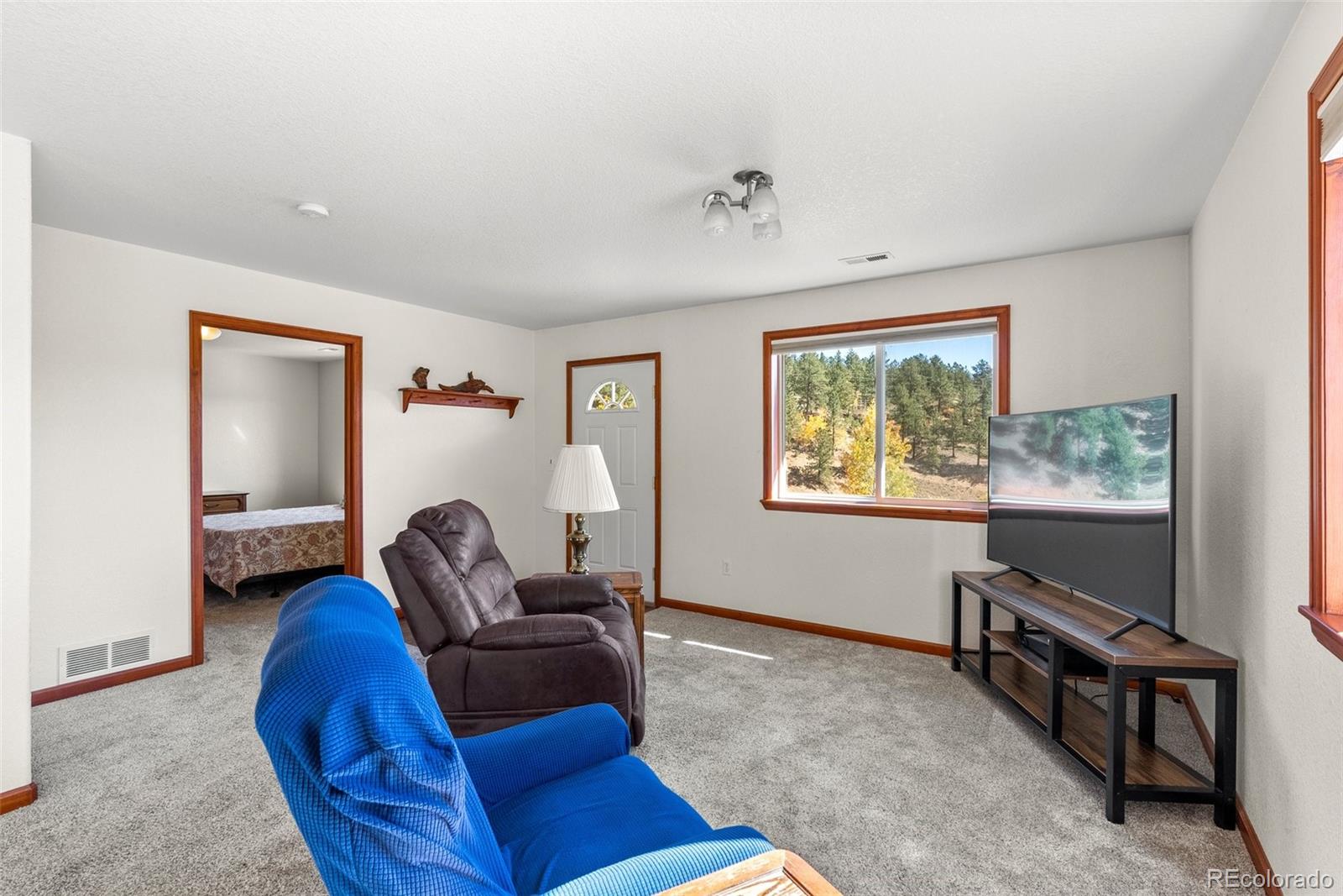 MLS Image #5 for 257  elk creek drive,bailey, Colorado