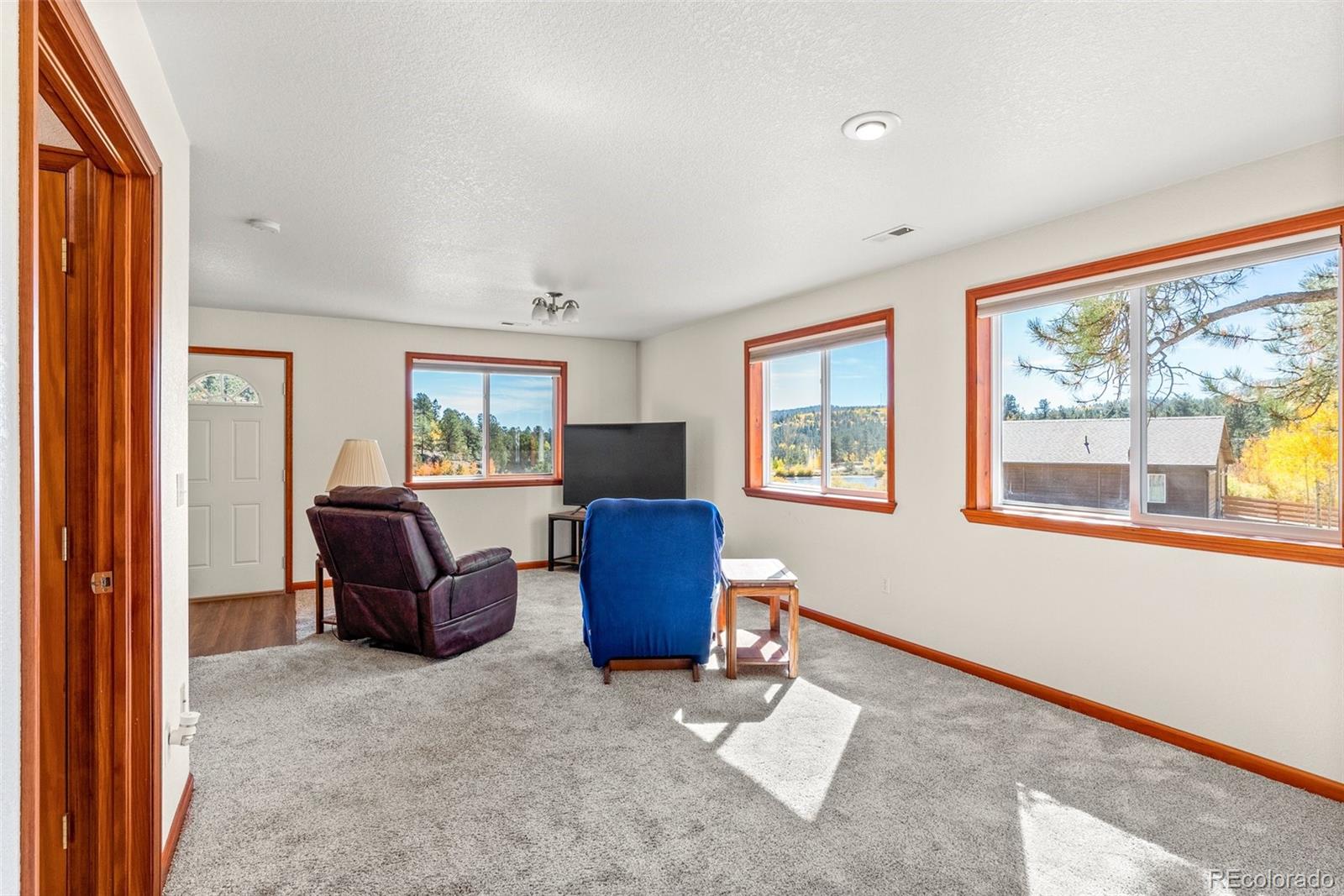 MLS Image #8 for 257  elk creek drive,bailey, Colorado