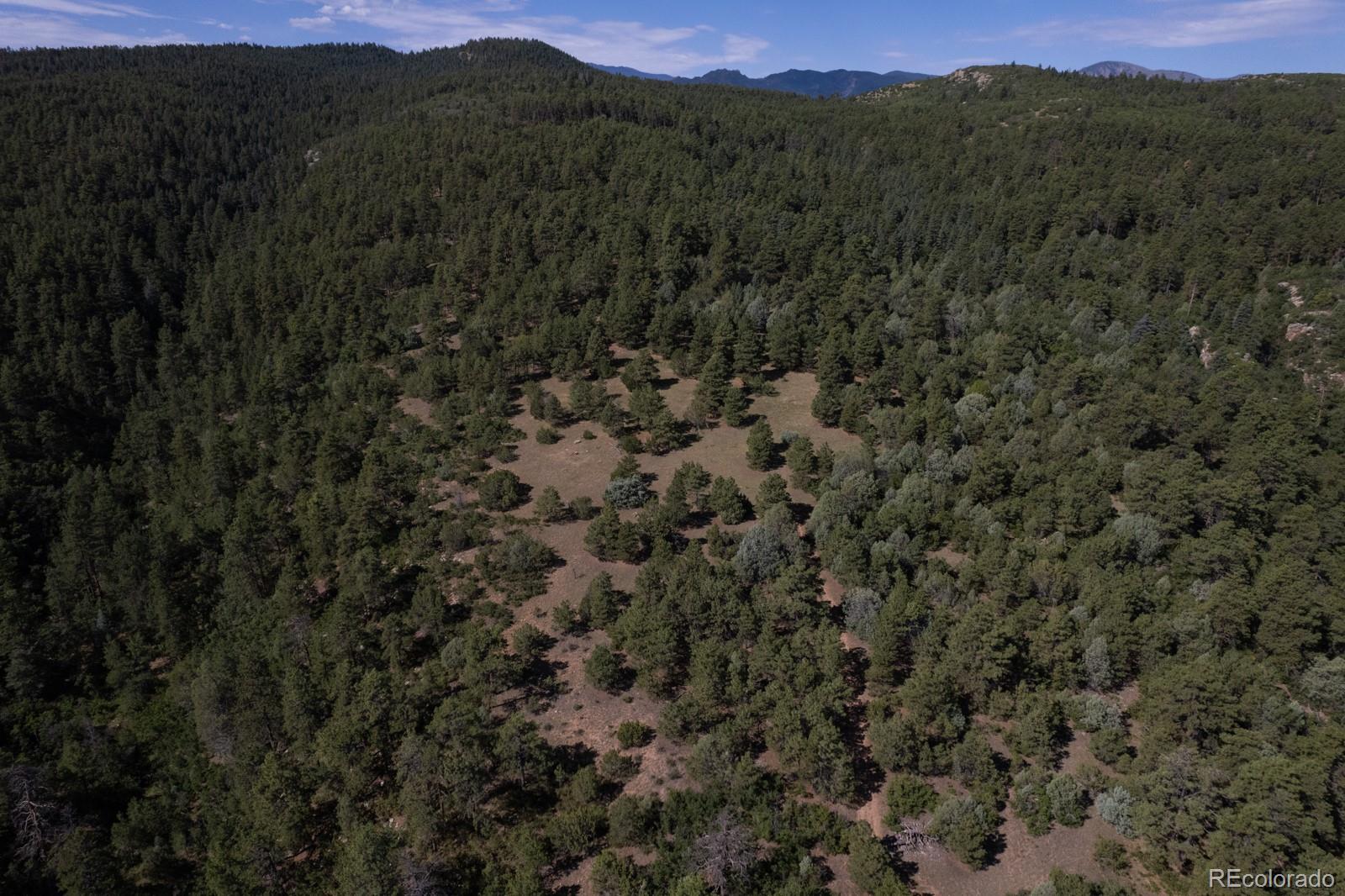 MLS Image #42 for 8716  national forest drive,beulah, Colorado