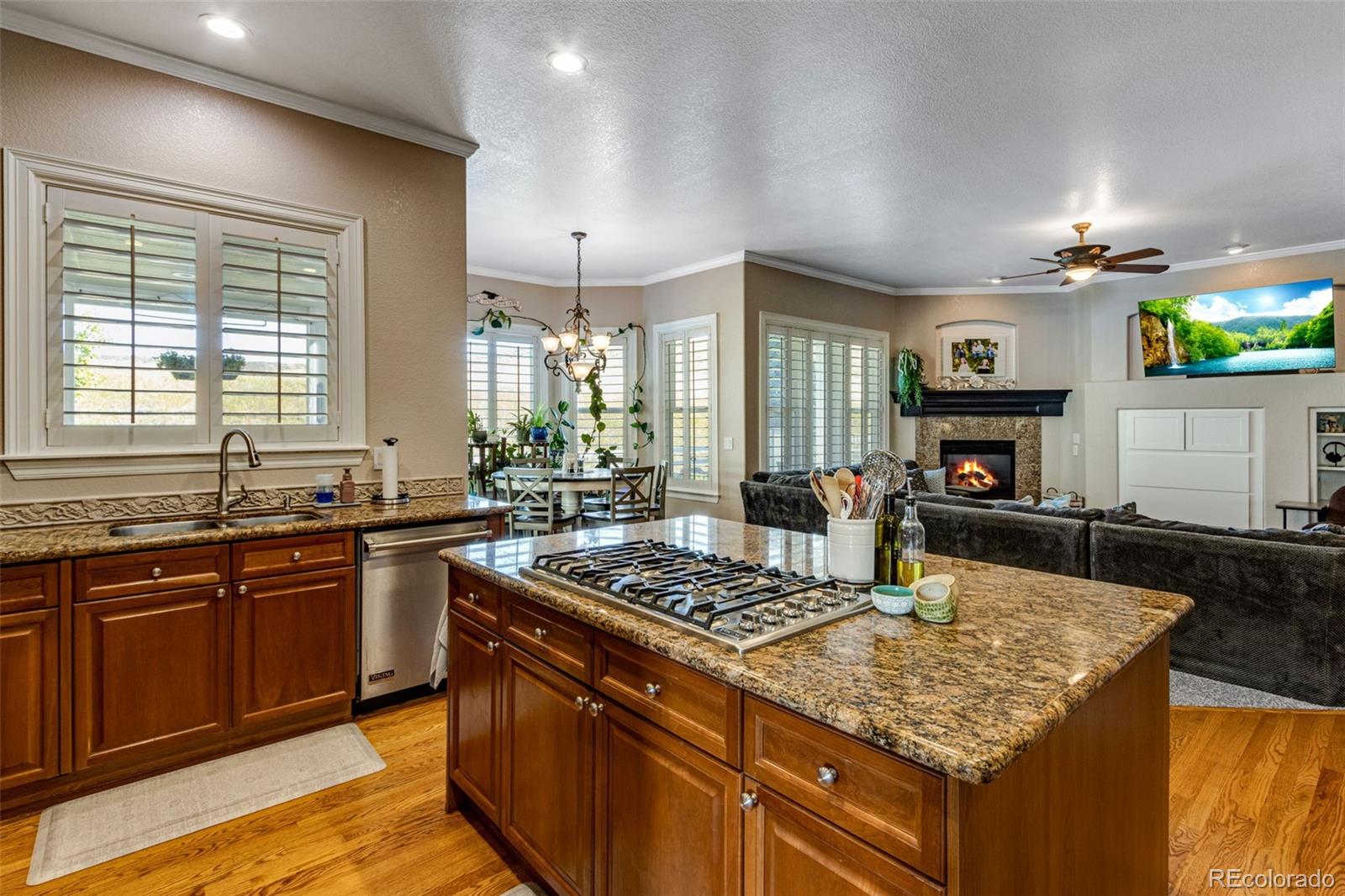 MLS Image #14 for 10364  carriage club drive,lone tree, Colorado