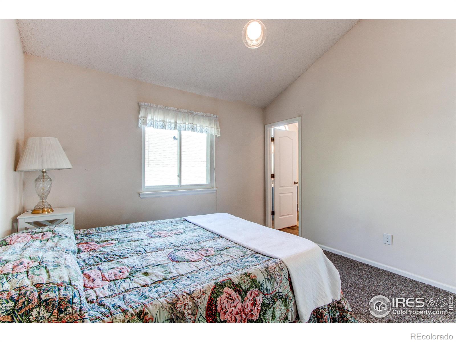 MLS Image #22 for 147  wolf creek trail,broomfield, Colorado