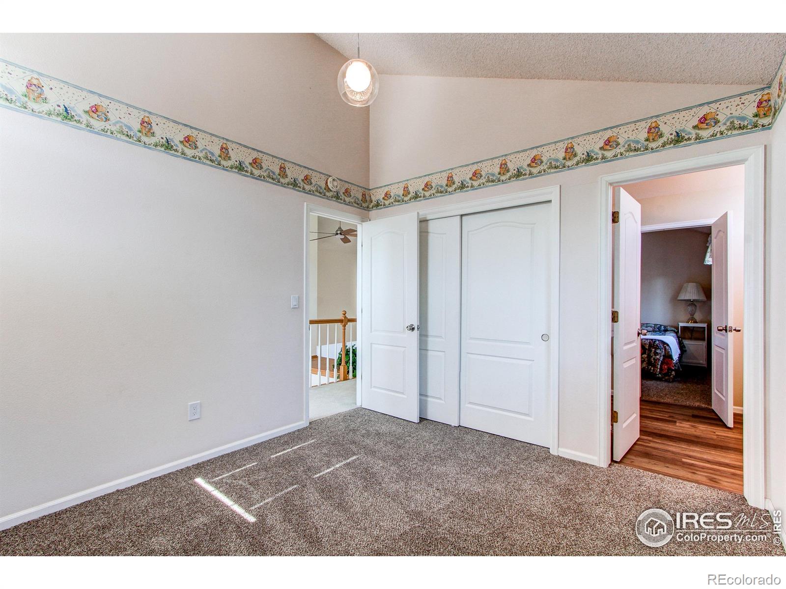 MLS Image #25 for 147  wolf creek trail,broomfield, Colorado